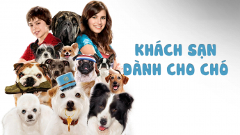 Khách Sạn Dành Cho Chó